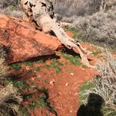 Review photo of Red Cliffs Campground by Cameron M., May 31, 2019