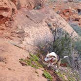 Review photo of Red Cliffs Campground by Cameron M., May 31, 2019