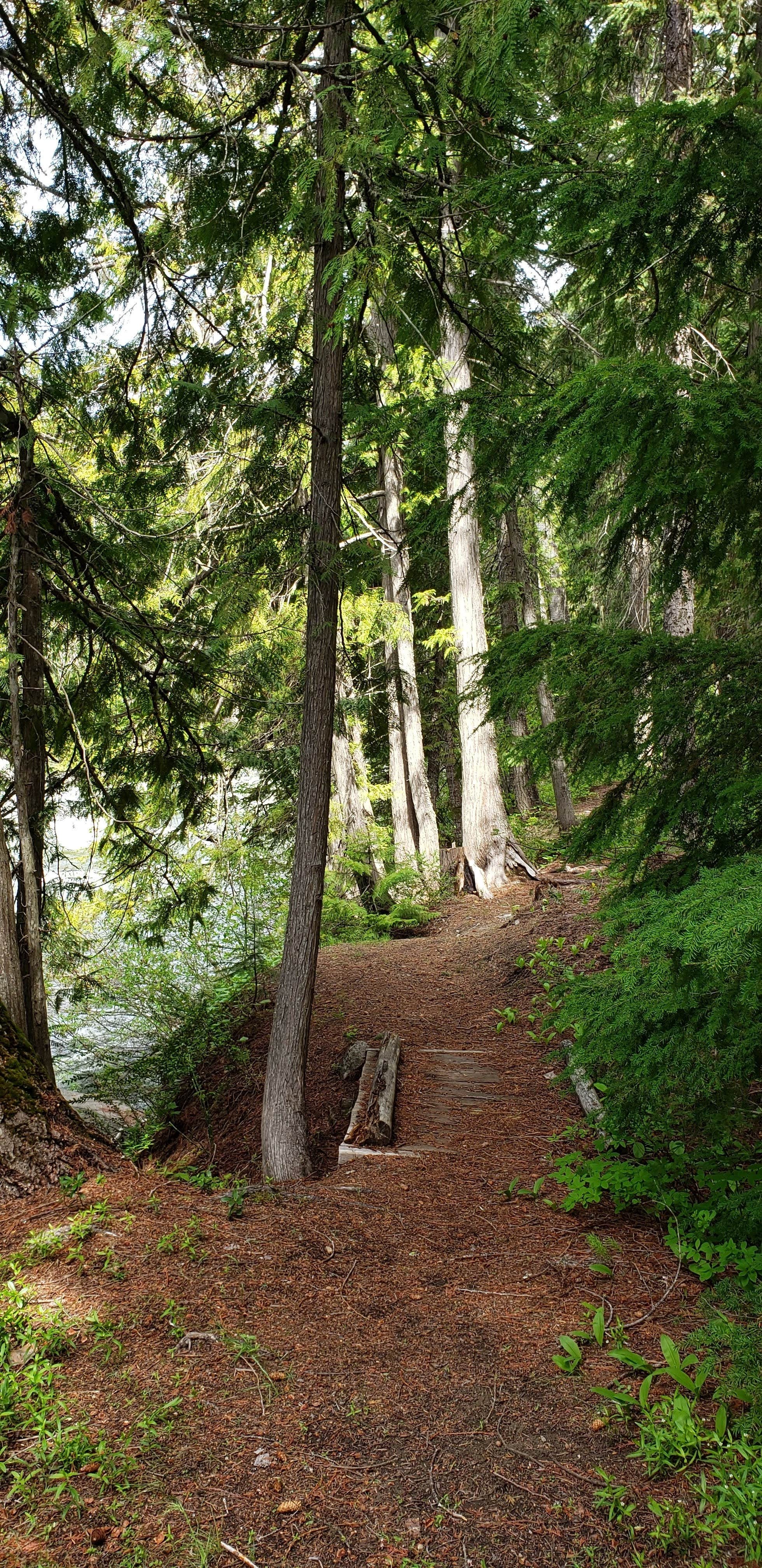 Camper submitted image from Johnny Creek Campground - 2