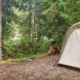 Review photo of Johnny Creek Campground by Kristi S., May 31, 2019