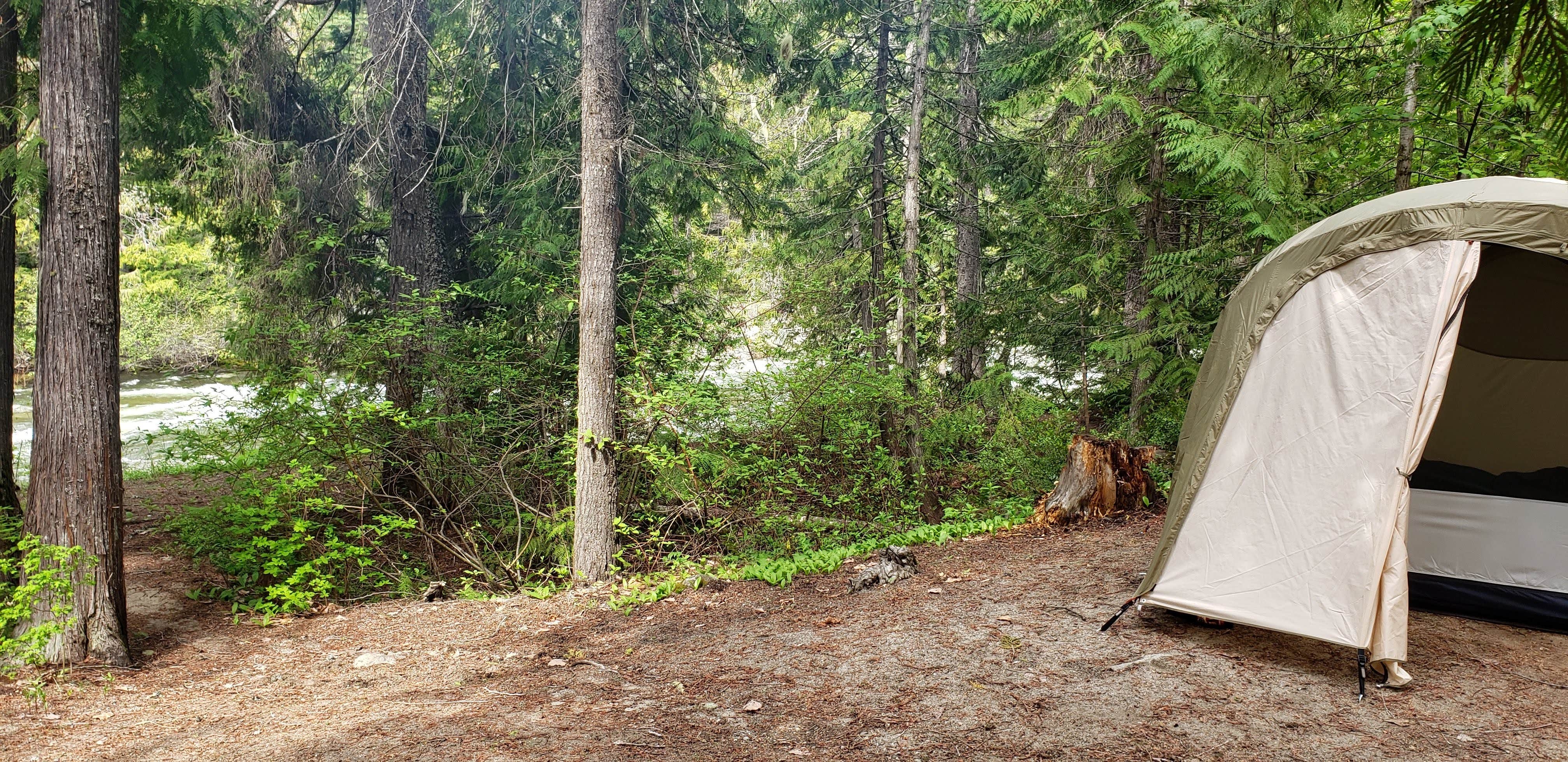 Camper submitted image from Johnny Creek Campground - 4