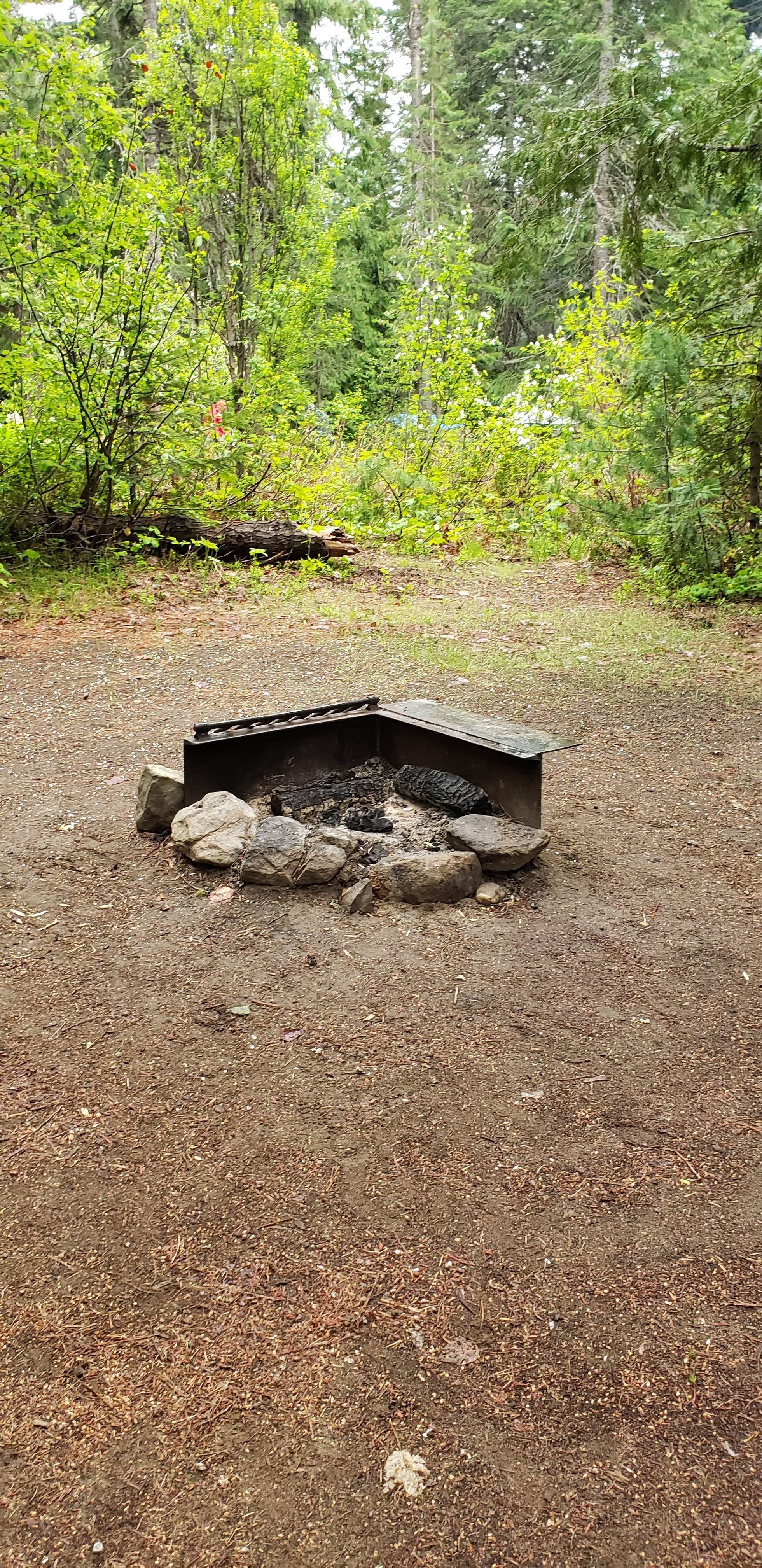 Camper-submitted photo at Johnny Creek Campground near Leavenworth, WA