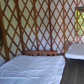 Review photo of Hueston Woods State Park Campground by Kenpocentaur K., May 31, 2019