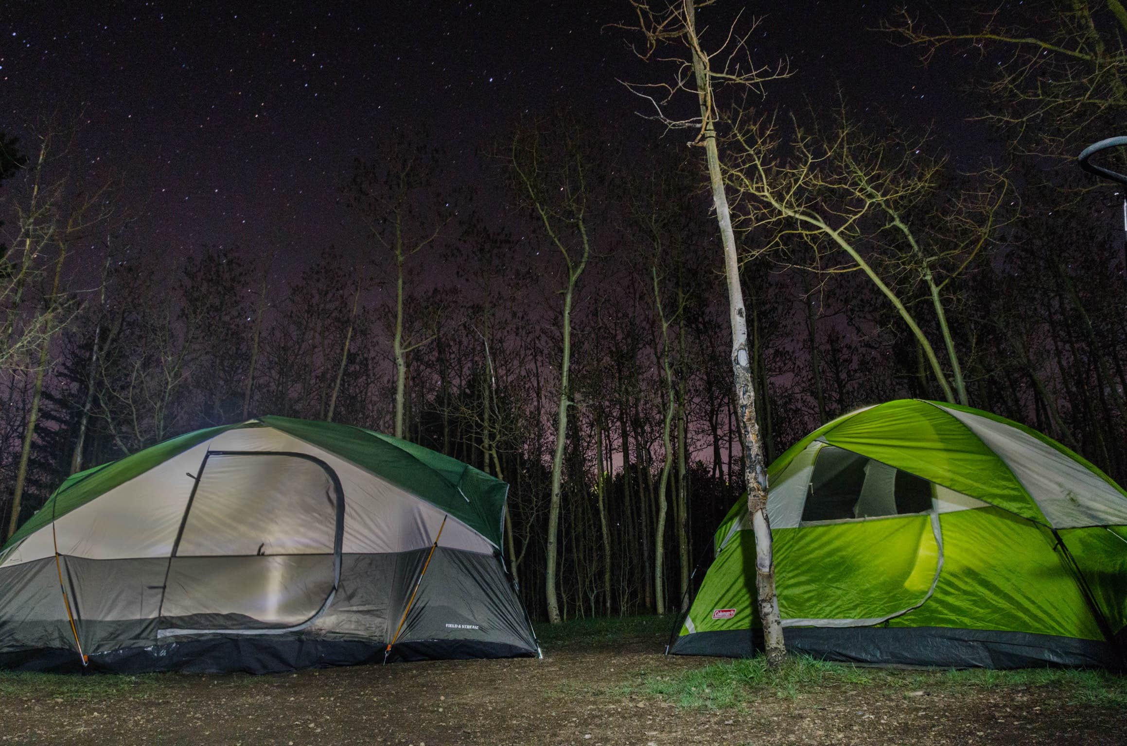 Camper submitted image from Base Camp at Golden Gate Canyon - 3