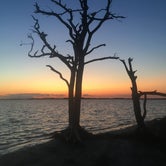 Review photo of Bayside Assateague Campground — Assateague Island National Seashore by Katie S., May 31, 2019
