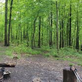 Review photo of Zaleski State Forest by Kenpocentaur K., May 31, 2019