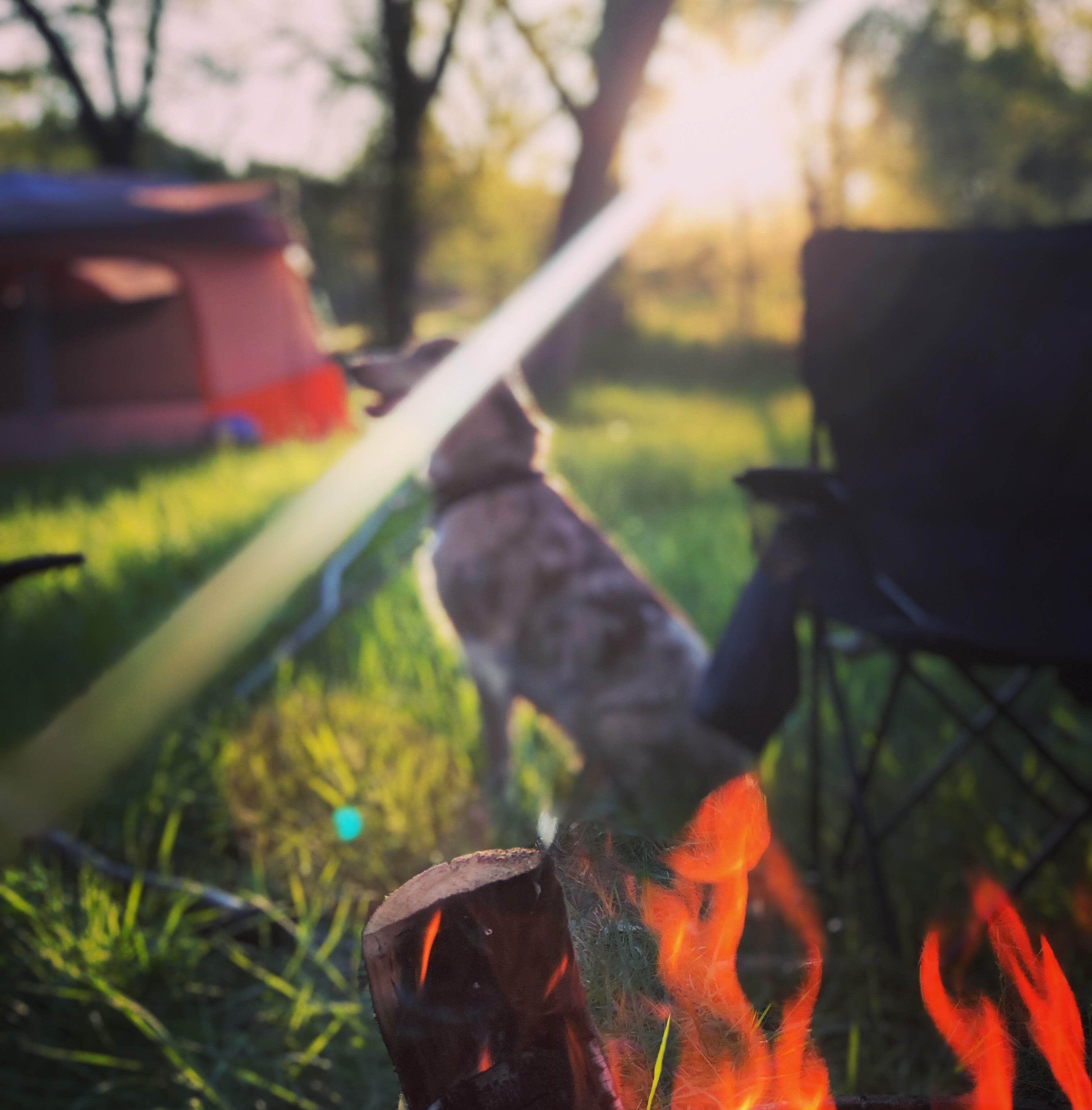 Camper submitted image from Allen Ranch Campground - 4