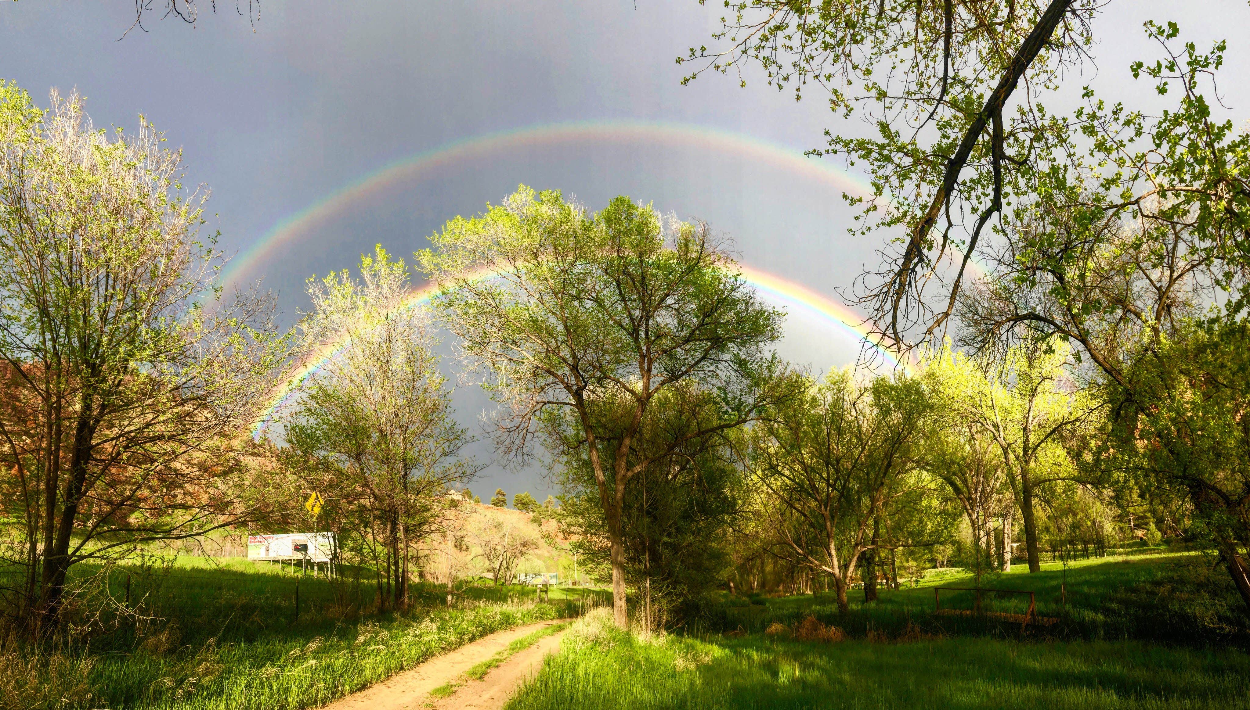 Nature