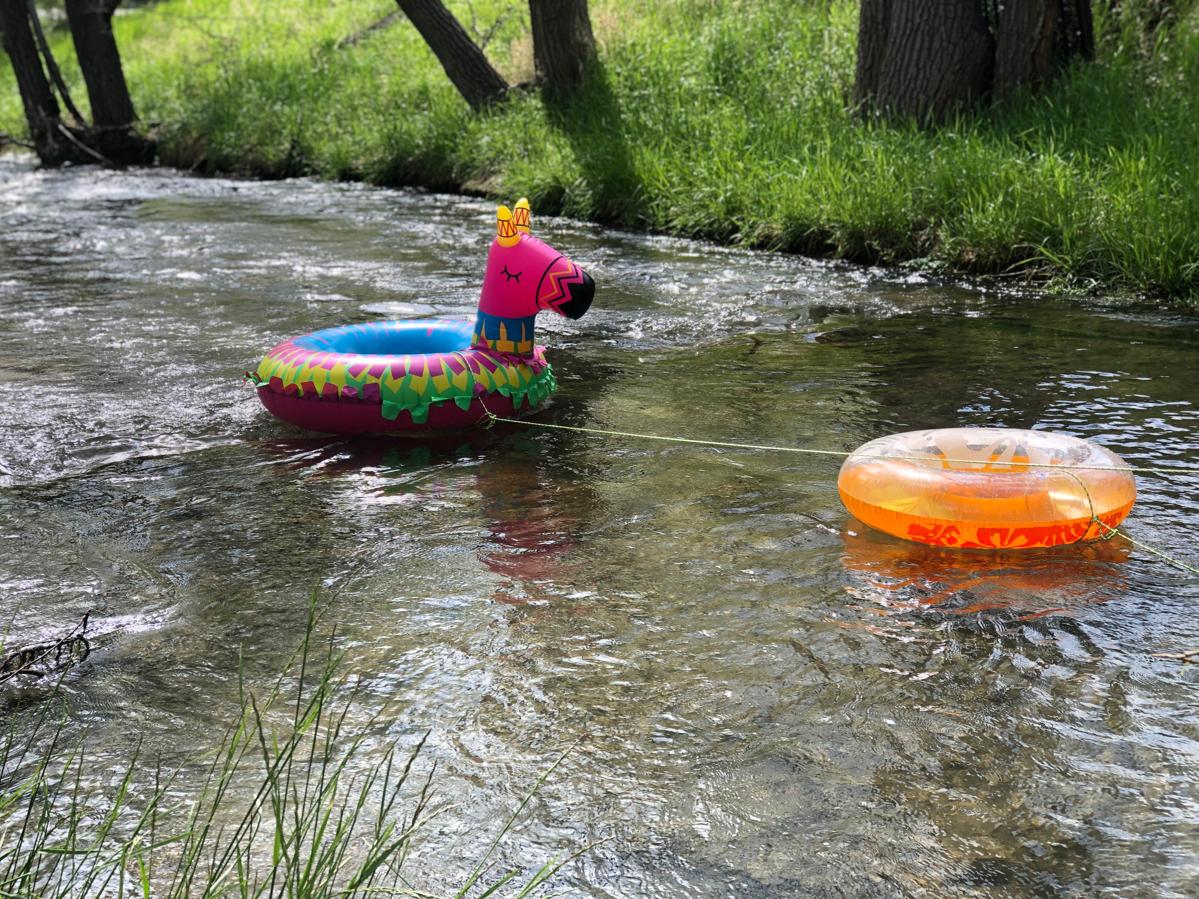 Camper-submitted photo at Allen Ranch Campground near Hot Springs, SD