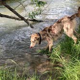 Review photo of Allen Ranch Campground by Hayley K., May 31, 2019