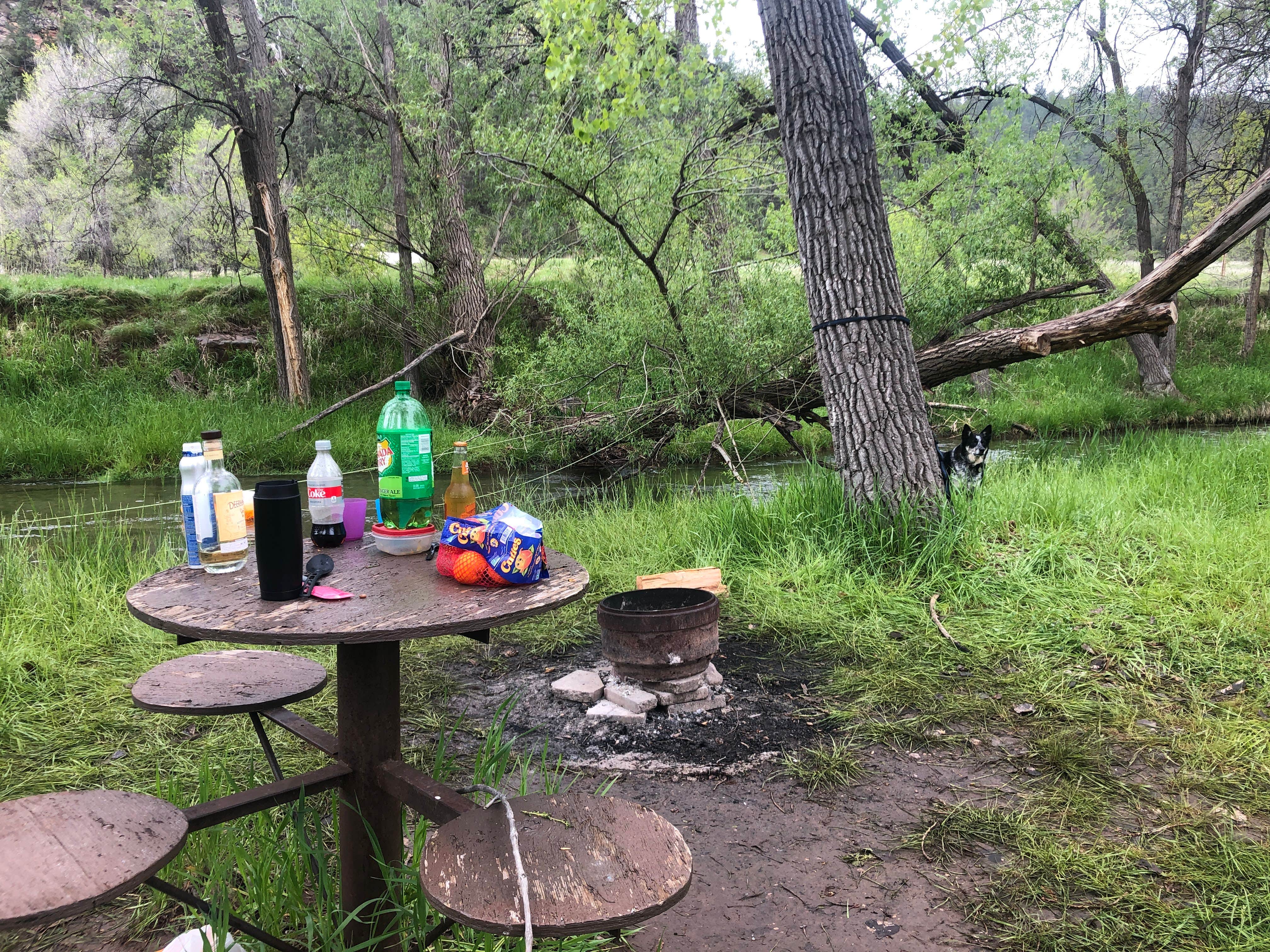 Camper-submitted photo at Allen Ranch Campground near Hot Springs, SD