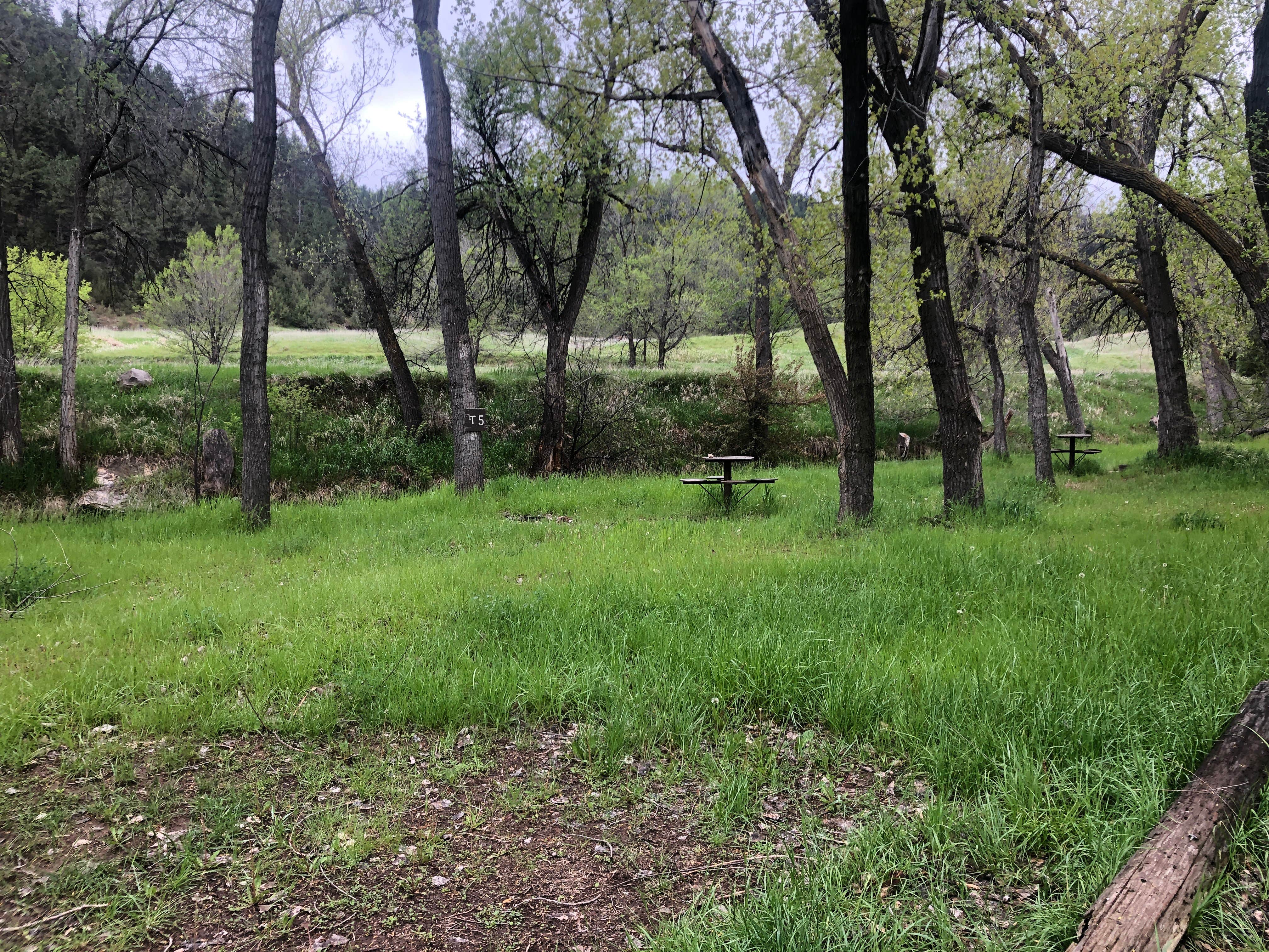 Camper-submitted photo at Allen Ranch Campground near Hot Springs, SD
