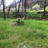 Review photo of Allen Ranch Campground by Hayley K., May 31, 2019