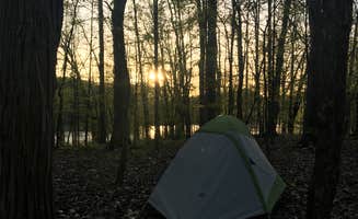 Monika L.'s photo at West Branch State Park Campground near Mineral Ridge, OH