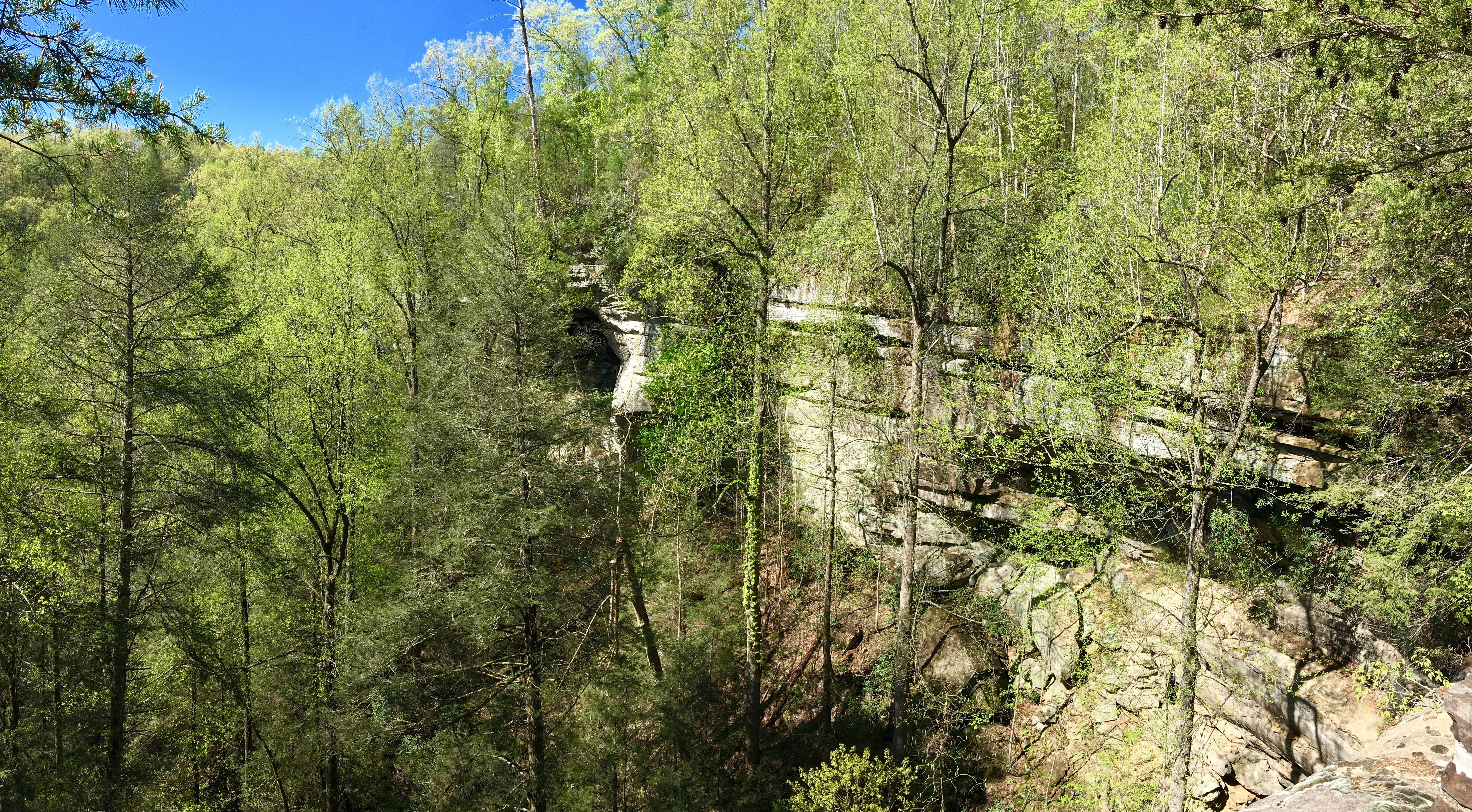 Frenchburg photo 5