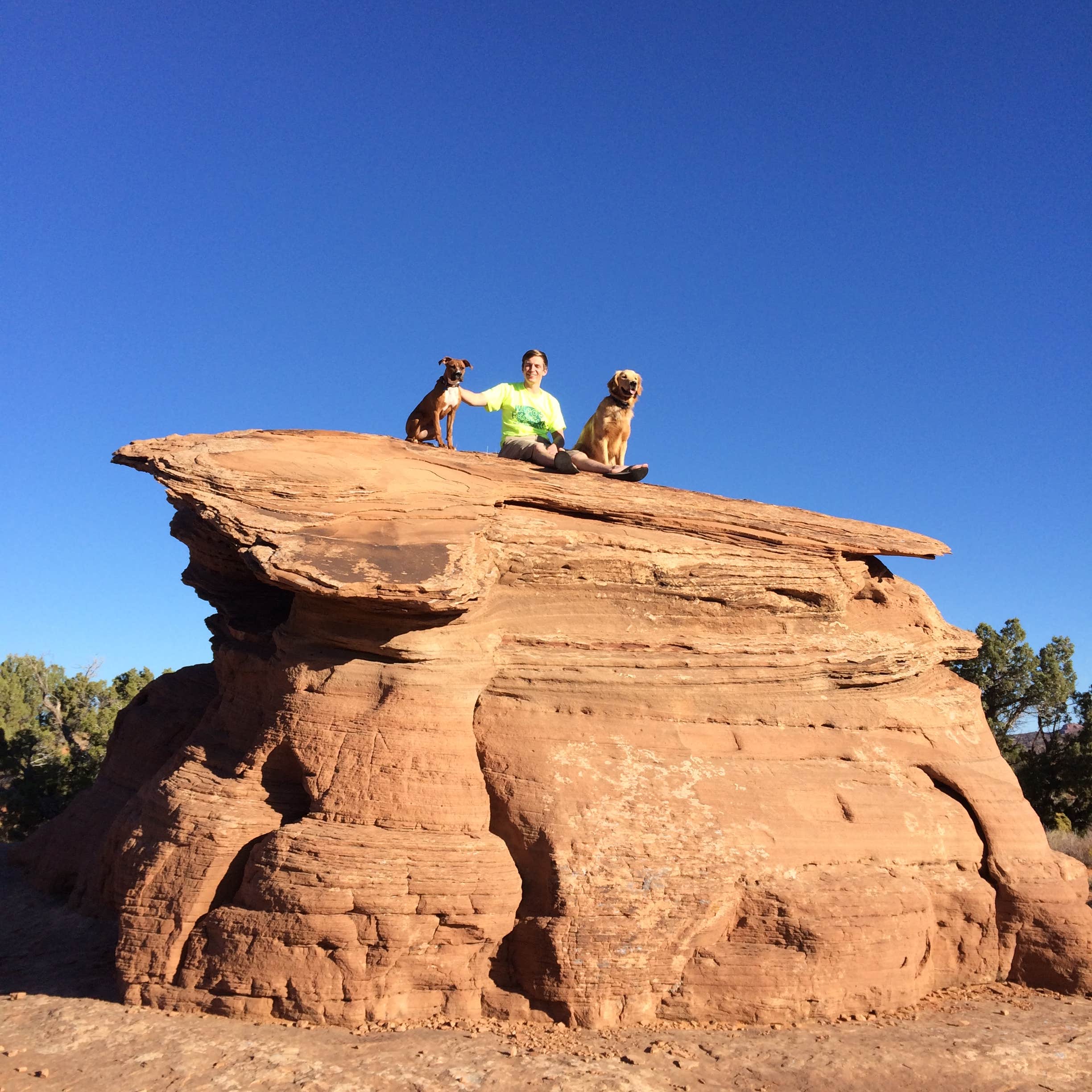 Sand Flats Recreation Area Camping  The Dyrt