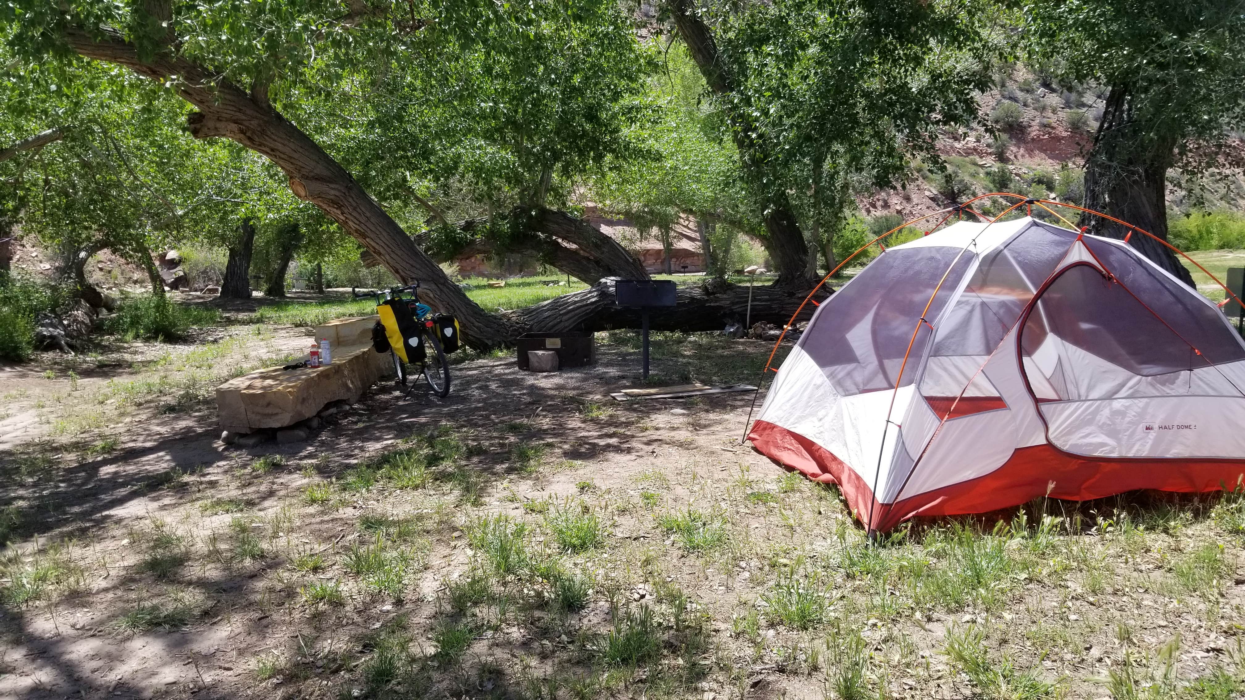 Melissa K.'s photo at Uravan Ballpark Campground near Nucla, CO