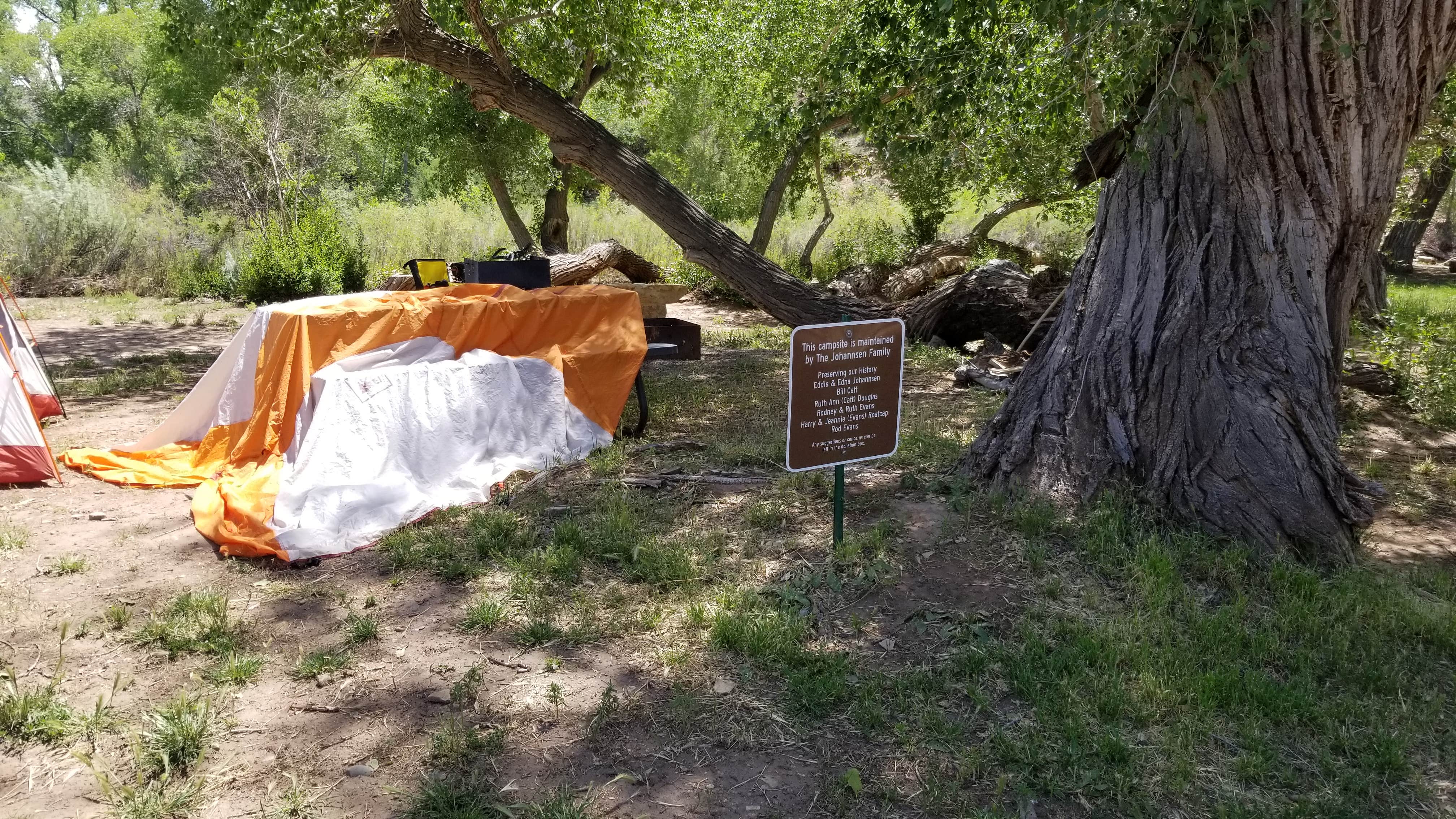 Camper-submitted photo at Uravan Ballpark Campground near Nucla, CO