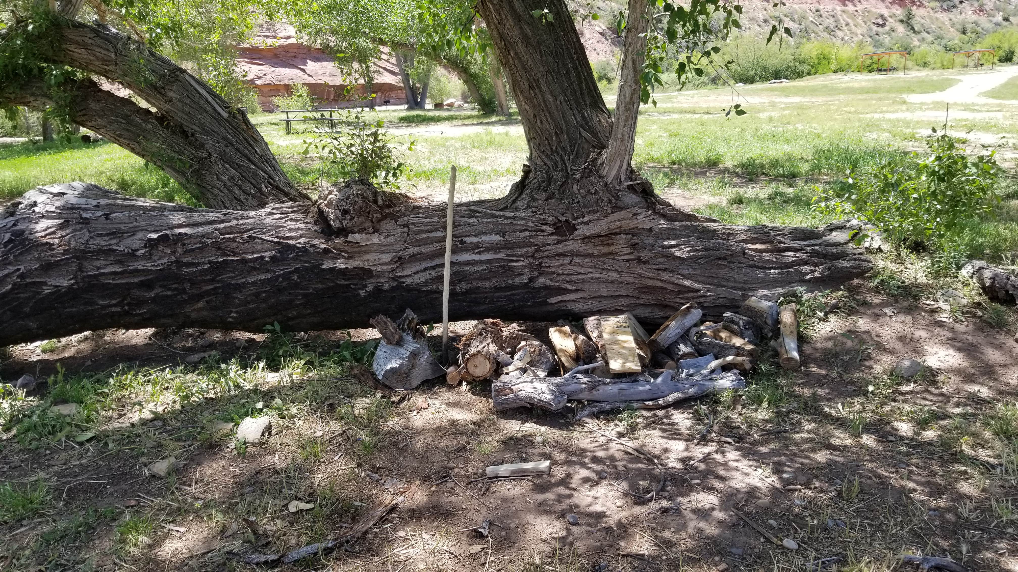 Camping near Black Shadow Campground: Uravan Ballpark Campground, Nucla, Colorado