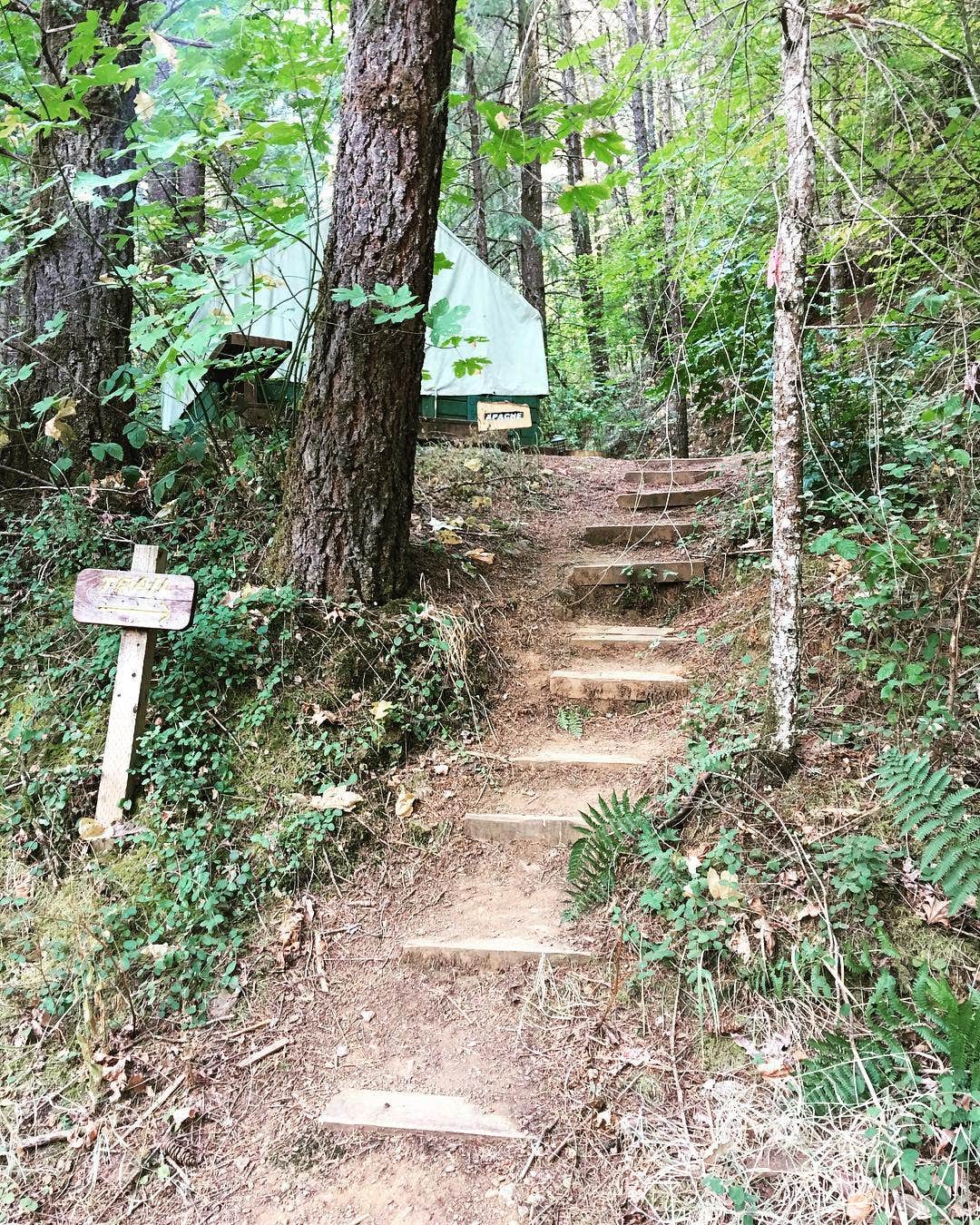 Camper-submitted photo at Camp Nauvoo near Rancho Cordova, CA