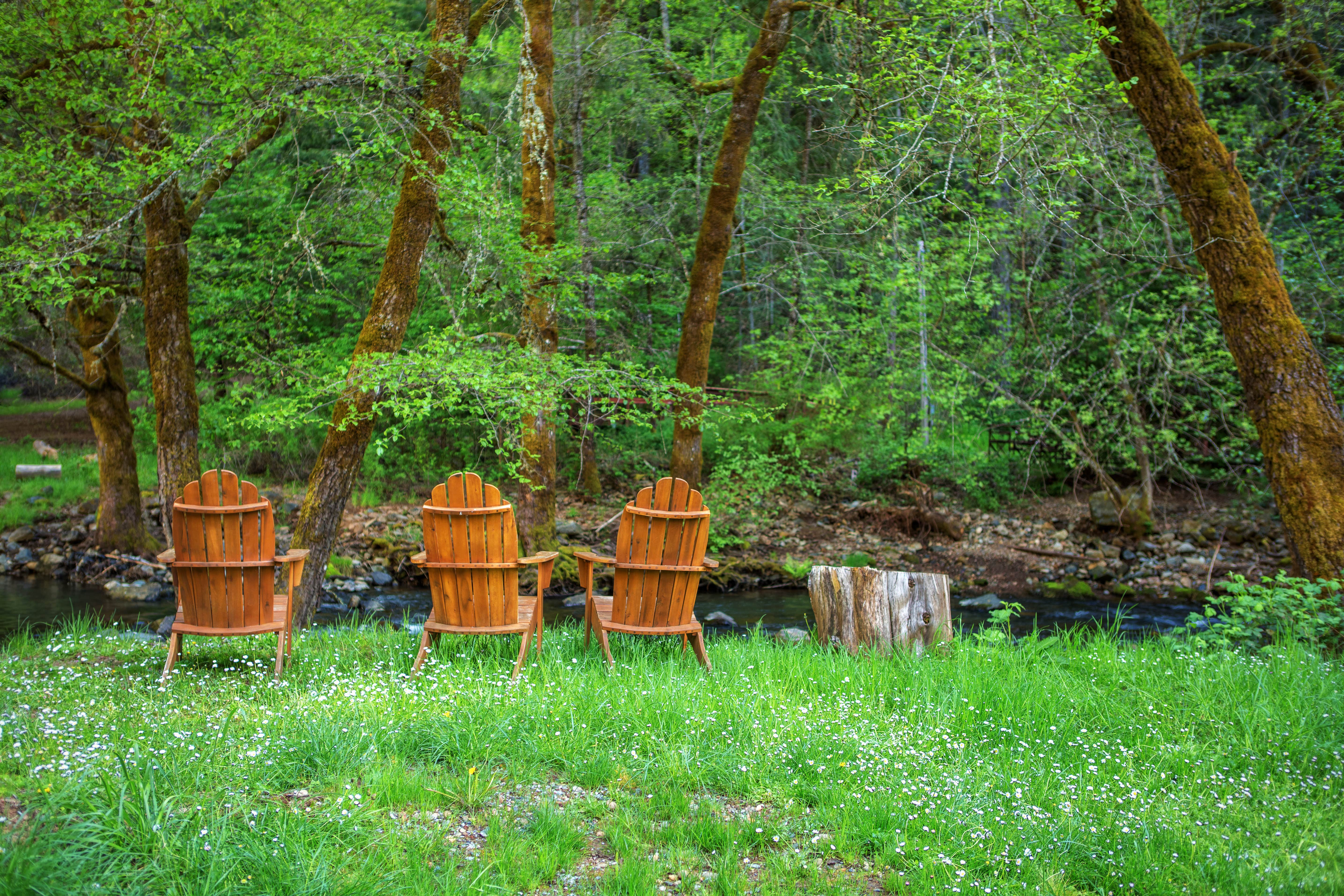 Nature