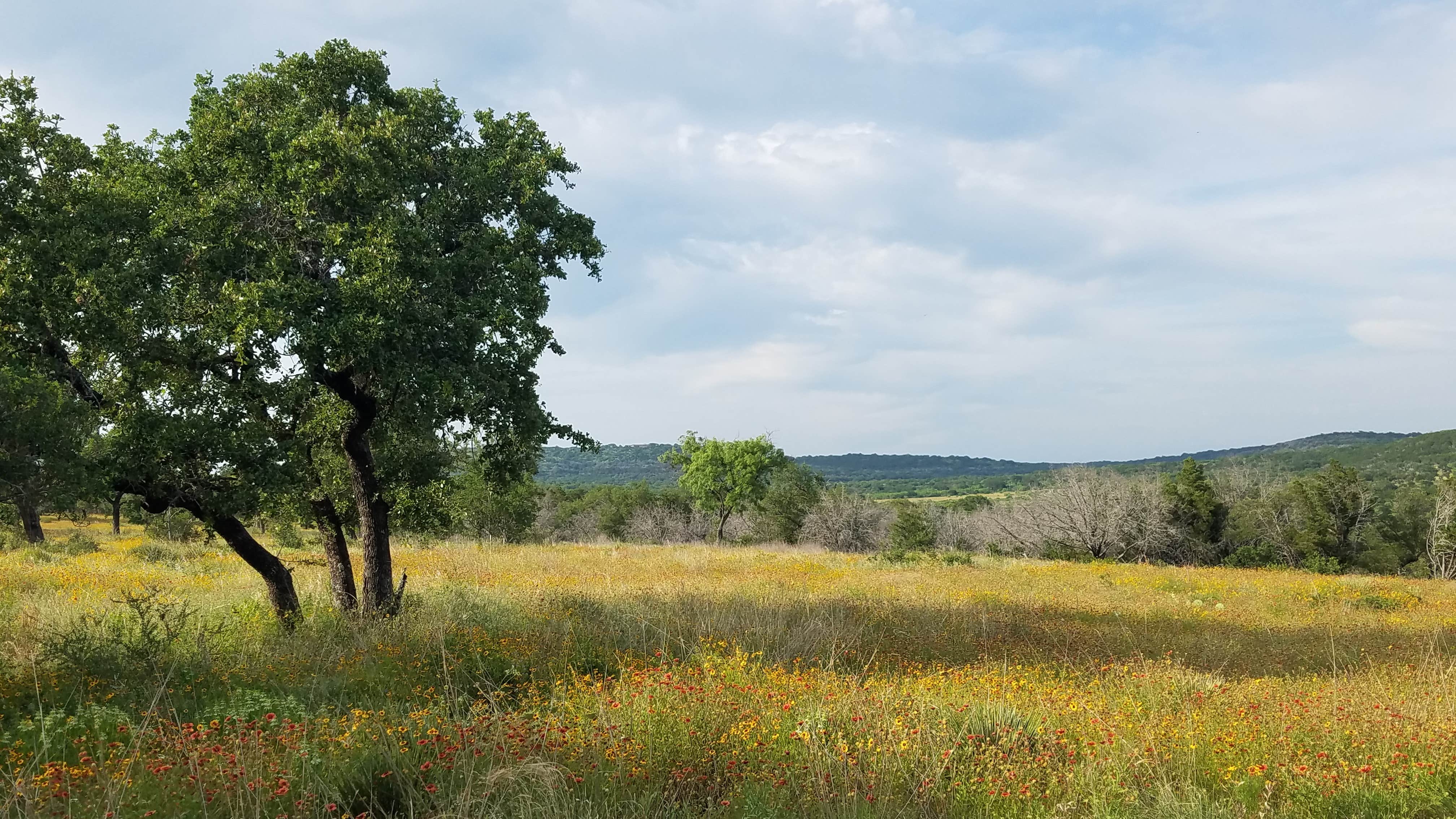 Camper submitted image from Canyon of the Eagles Lodge & Nature Park - 2