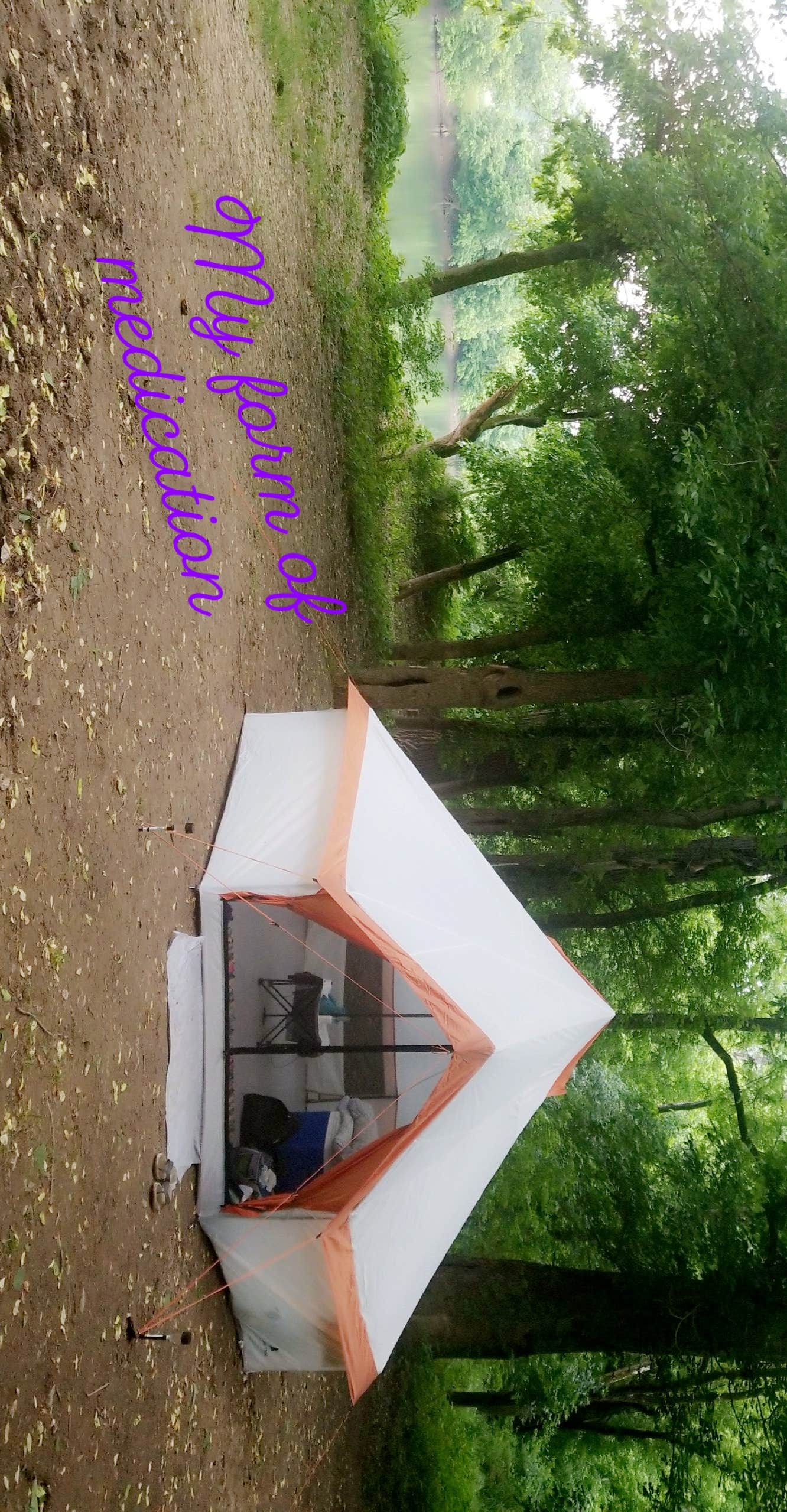 Ashley F.'s photo at Shenandoah National Park Dispersed Sites — Shenandoah National Park near Flint Hill, VA