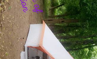 Ashley F.'s photo at Shenandoah National Park Dispersed Sites — Shenandoah National Park near Chester Gap, VA