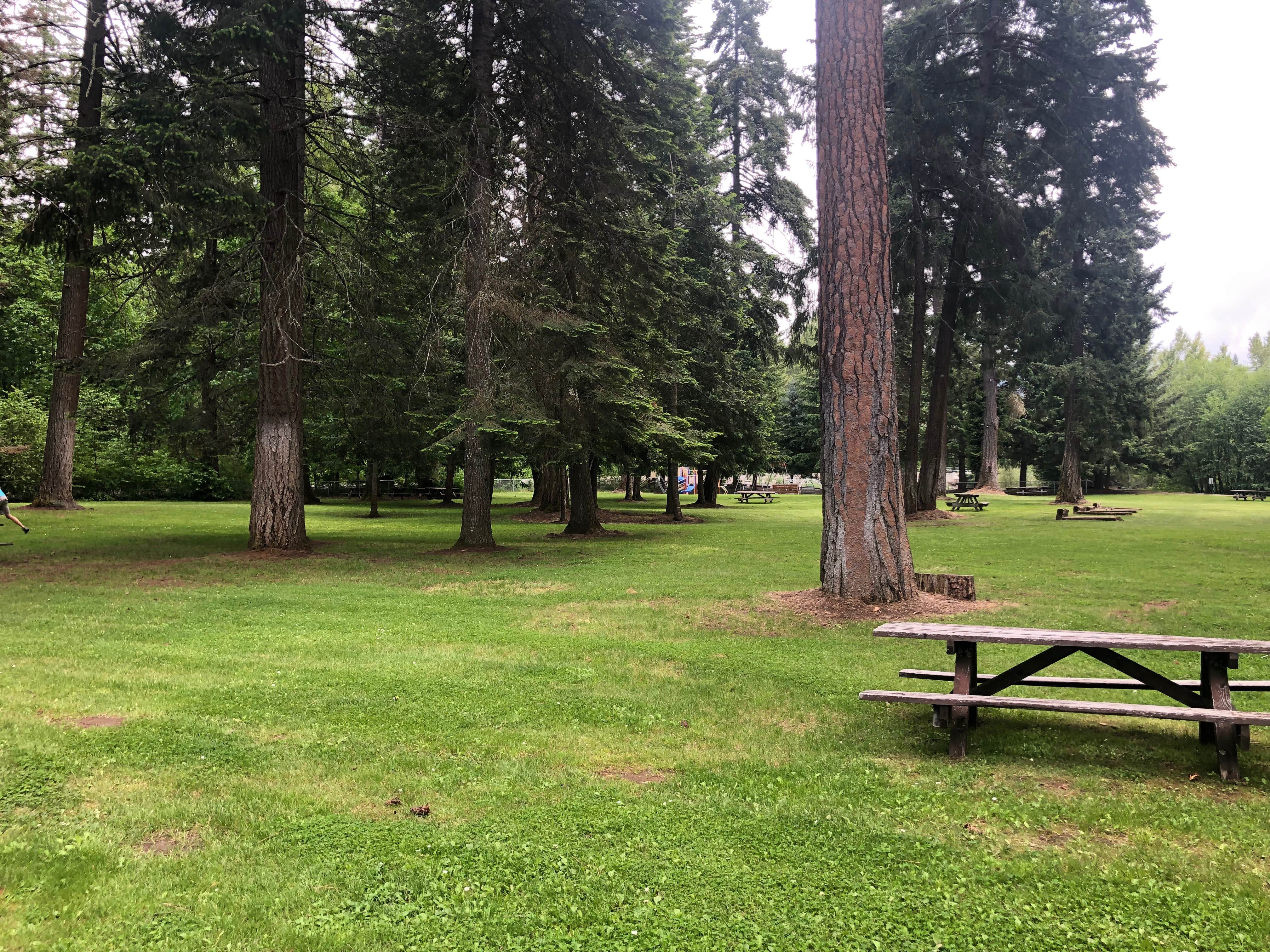 Camper-submitted photo at Toll Bridge Park Campground near Columbia River Gorge National Scenic Area