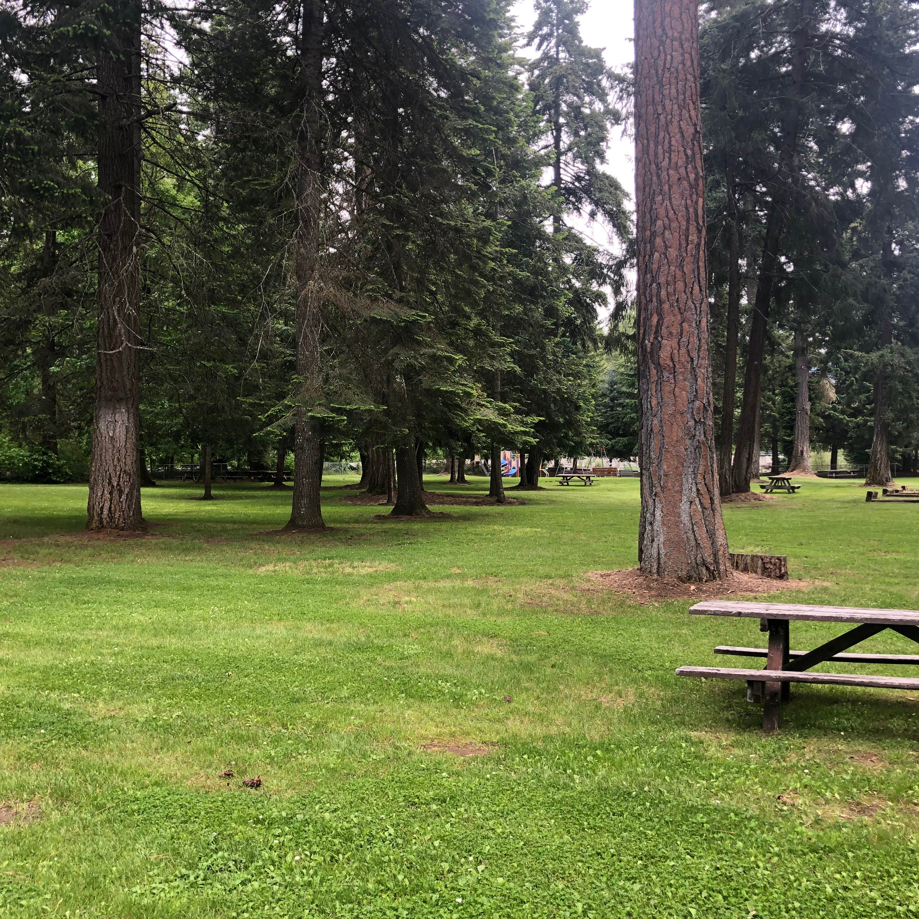 Escape to Oregon's Hidden Gem: Toll Bridge County Park