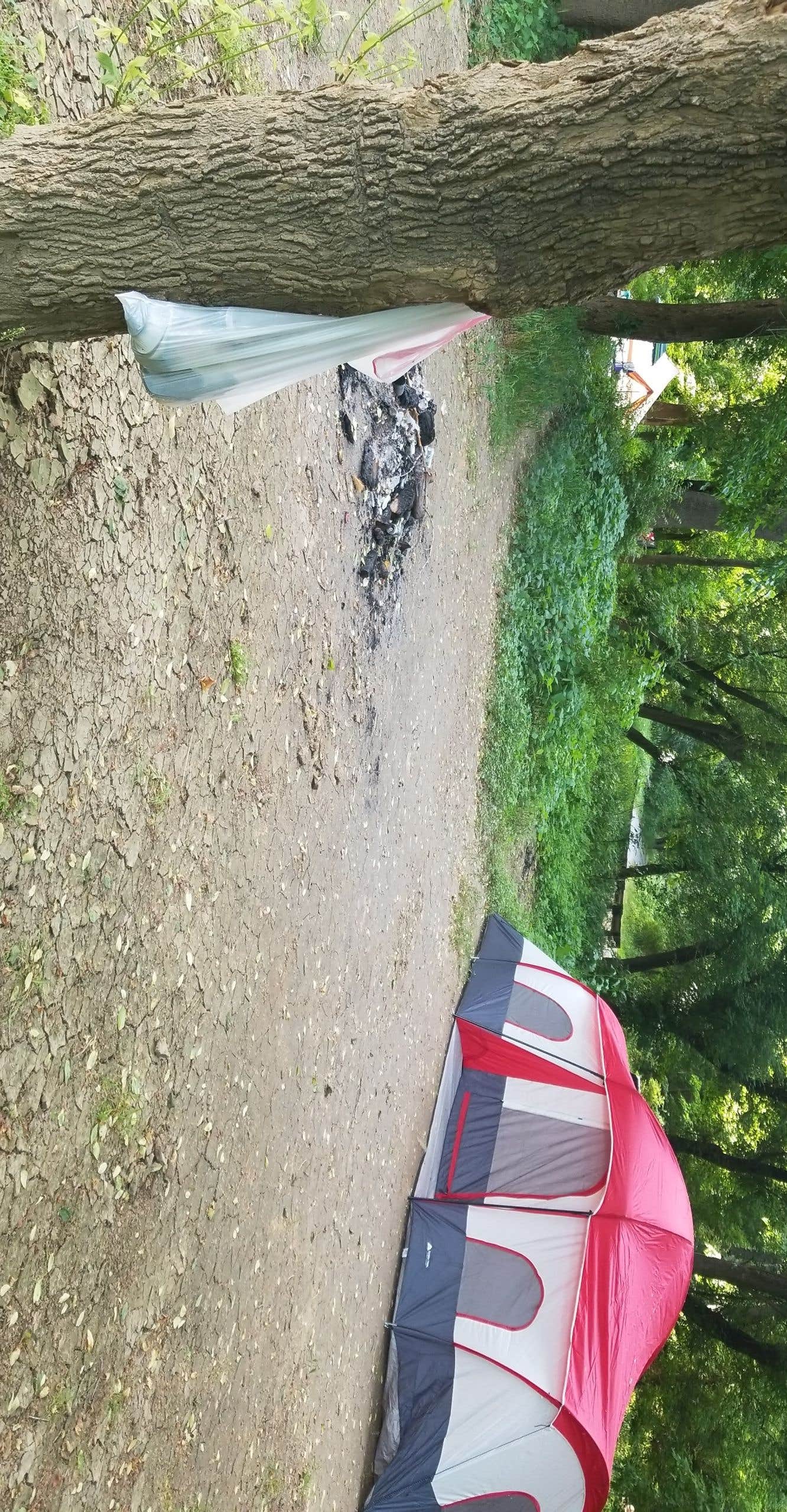 Ashley F.'s photo at Shenandoah National Park Dispersed Sites — Shenandoah National Park near Sperryville, VA