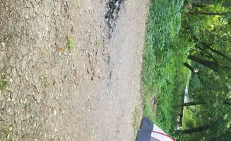 Ashley F.'s photo at Shenandoah National Park Dispersed Sites — Shenandoah National Park near Chester Gap, VA