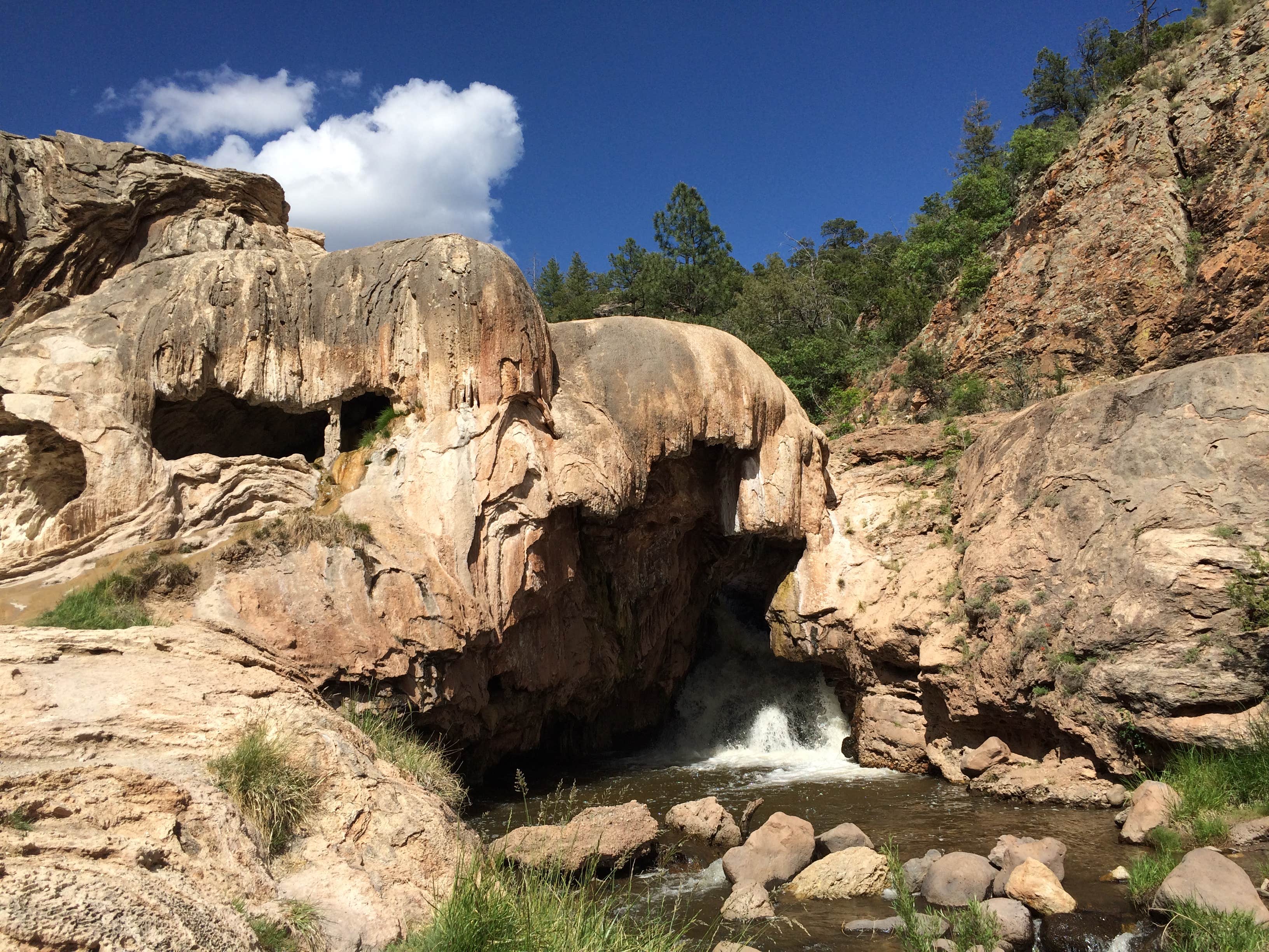 Camper submitted image from Albuquerque North / Bernalillo KOA - 3