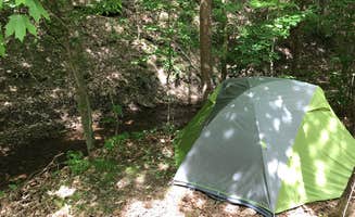 Scott M.'s photo at eXplore Brown County near Trafalgar, IN