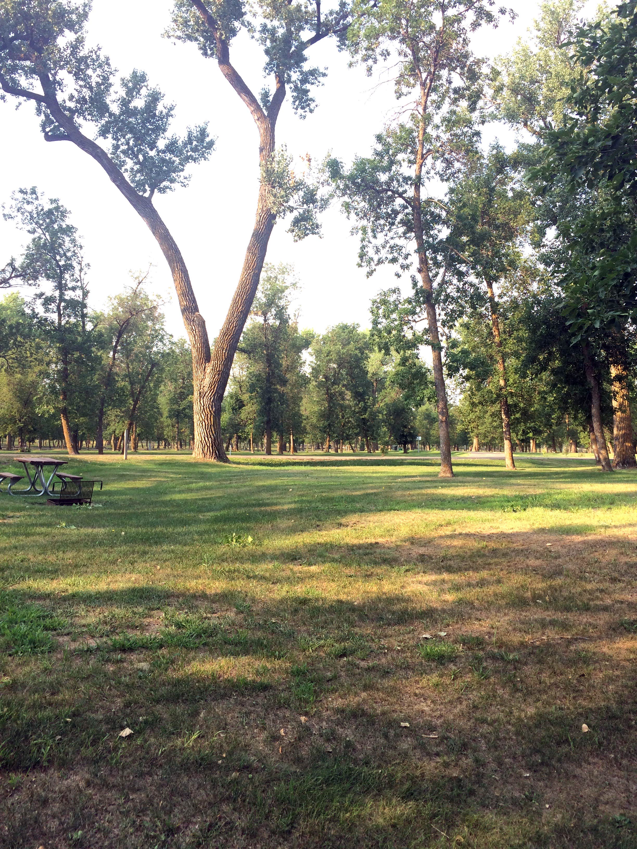 Camper-submitted photo at General Sibley Park near Cannon Ball, ND