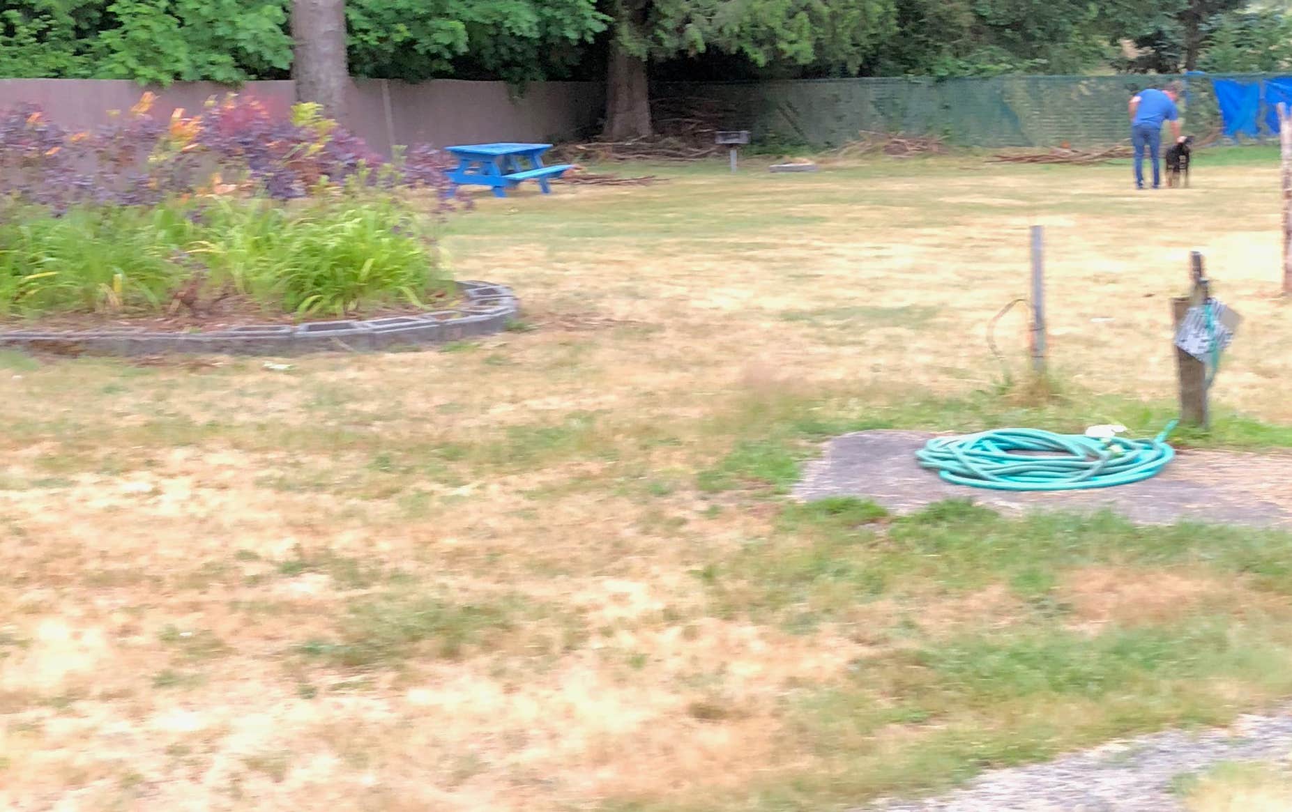 Camper-submitted photo at Paradise Cove Resort and RV Park near Toledo, WA