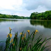 Review photo of Stonelick State Park Campground by Harold M., May 31, 2019