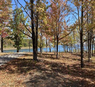 Camper-submitted photo from Shiloh - Greers Ferry Lake