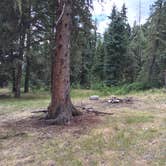 Review photo of Trampas Trailhead Campground by Damon T., August 31, 2016