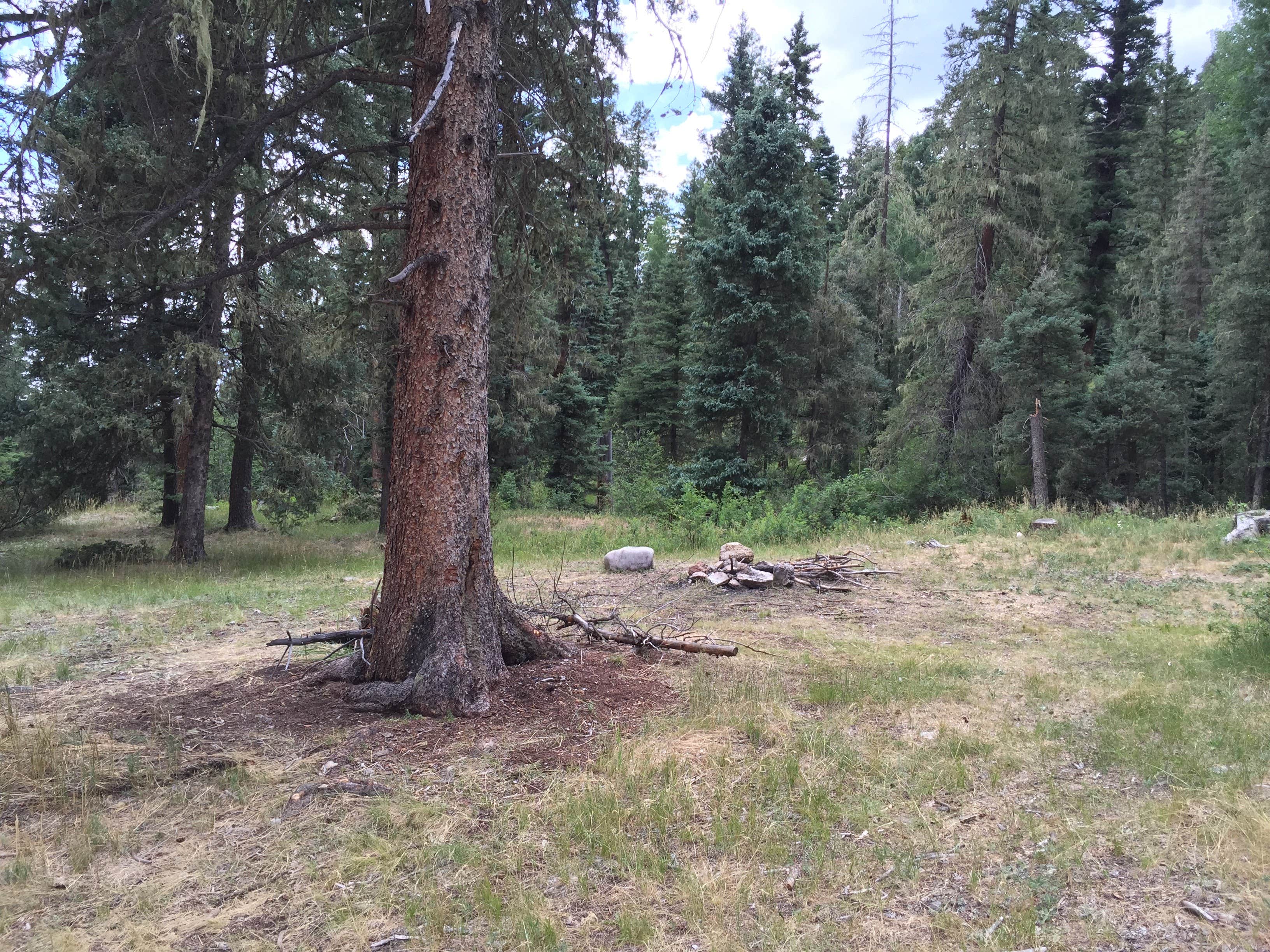 Camper submitted image from Trampas Trailhead Campground - 1