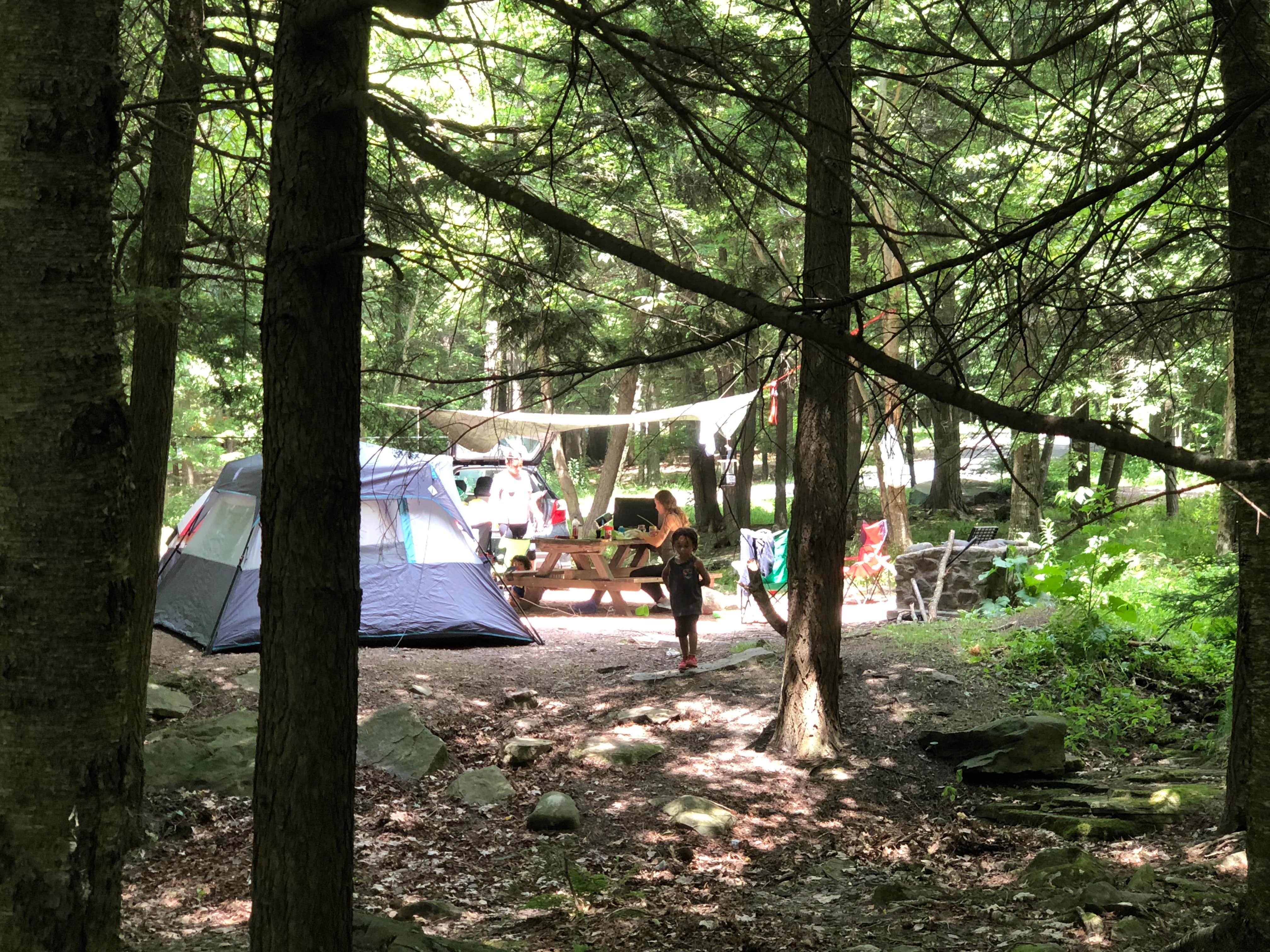 Pedro R.'s photo at North-South Lake Campground near Catskill, NY