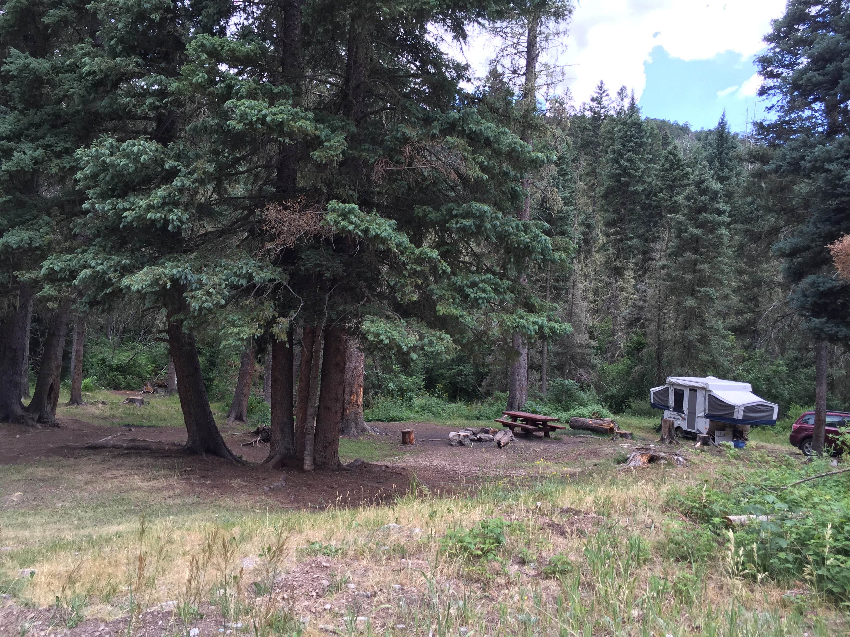 Camper-submitted photo at Trampas Trailhead Campground near Pecos, NM
