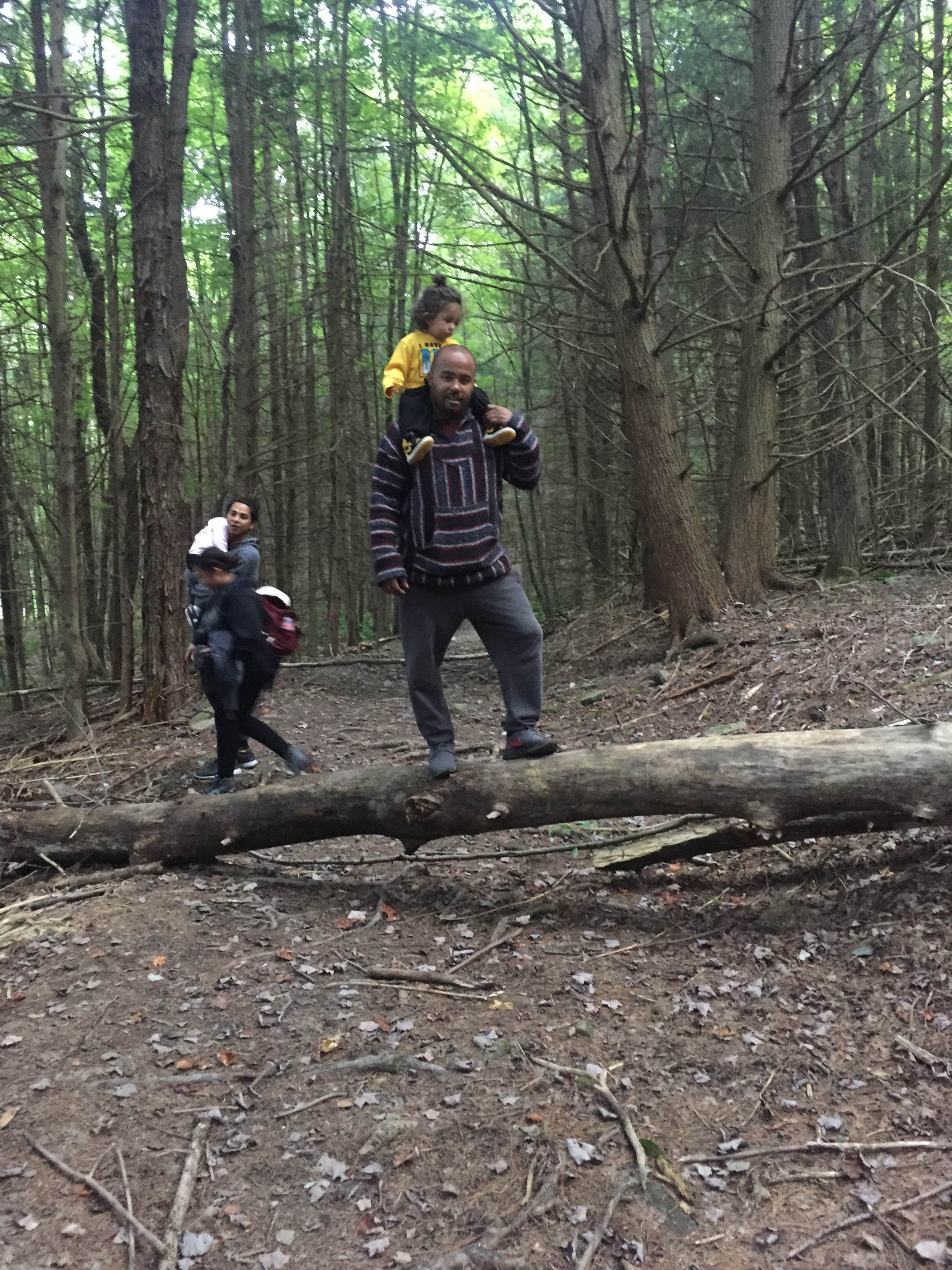 Camper-submitted photo at Bowman Lake State Park Campground near DeRuyter, NY