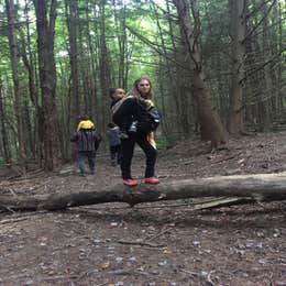 Bowman Lake State Park