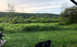 Shirley M.'s photo of camping with pets at Russell P Letterman Campground — Bald Eagle State Park near McClure, PA