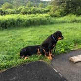 Review photo of Russell P Letterman Campground — Bald Eagle State Park by Shirley M., May 31, 2019