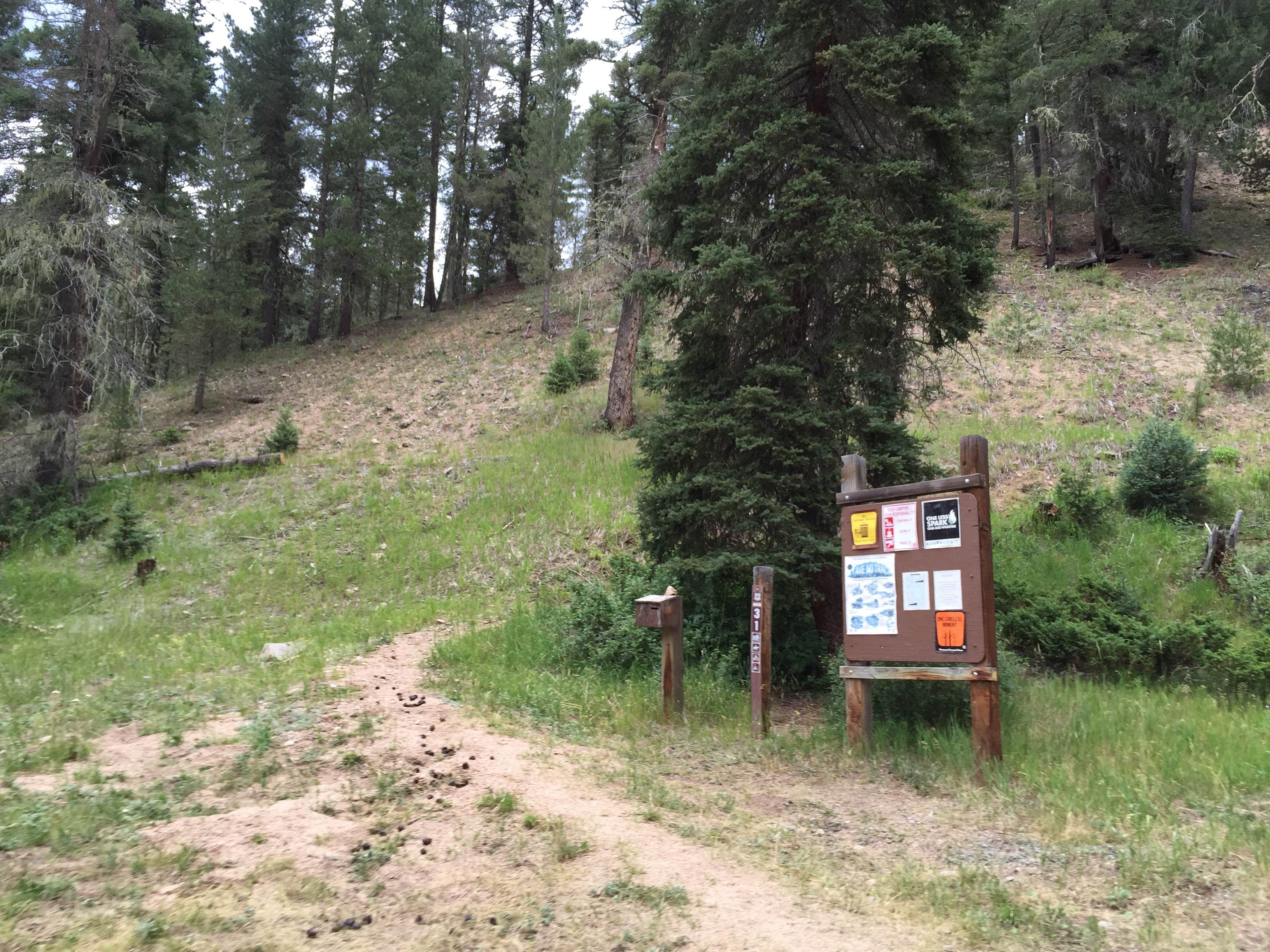 Camper submitted image from Trampas Trailhead Campground - 3