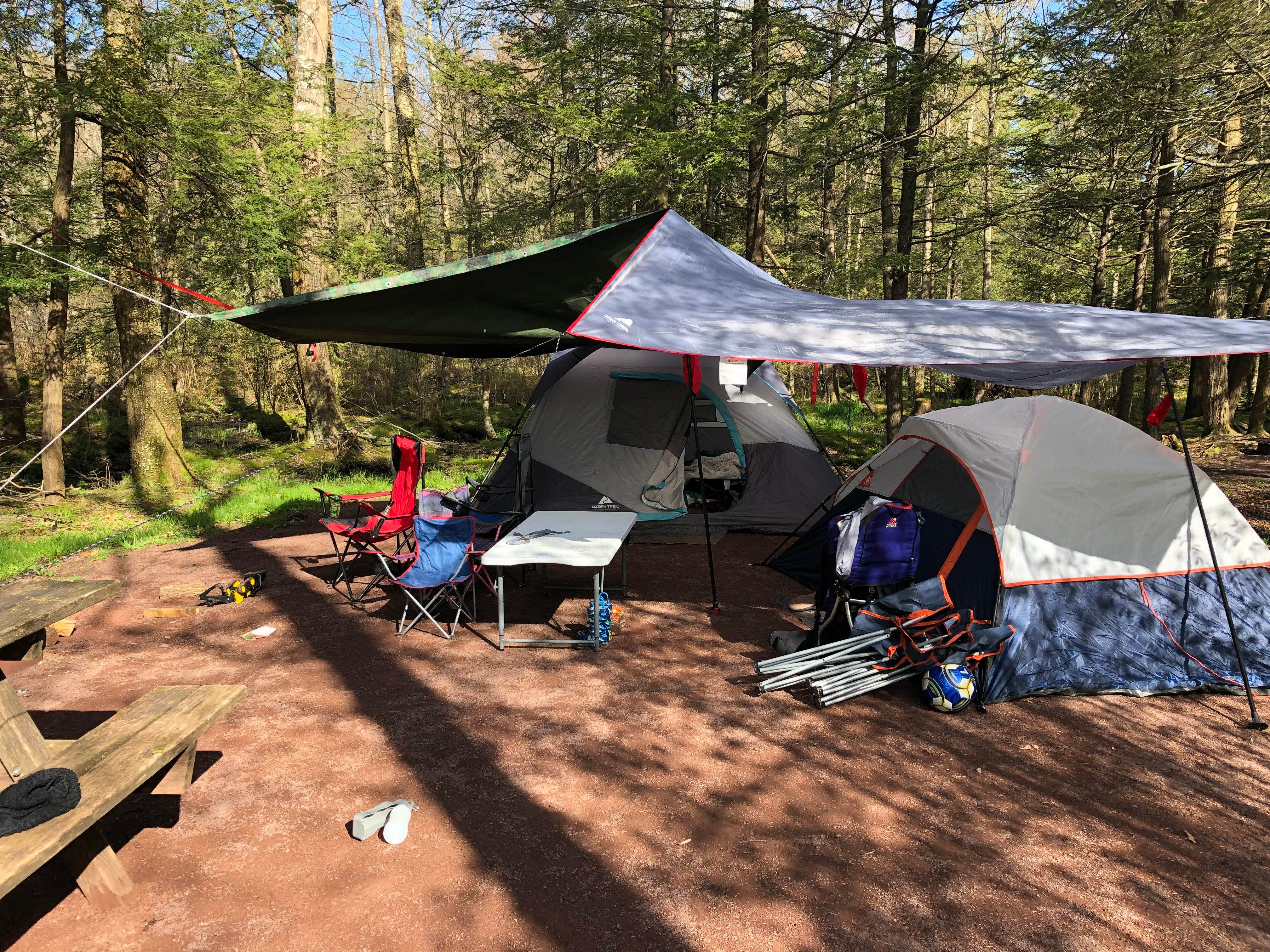 Pedro R.'s photo at Ricketts Glen State Park Campground near Hillsgrove, PA