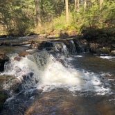 Review photo of Ricketts Glen State Park Campground by Pedro R., May 31, 2019