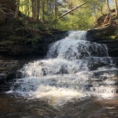 Review photo of Ricketts Glen State Park Campground by Pedro R., May 31, 2019